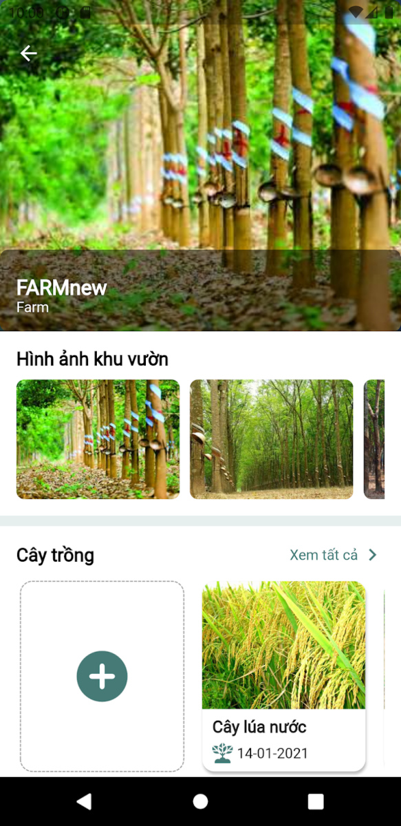 Cây trồng